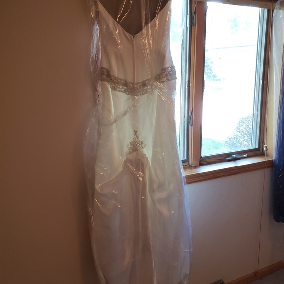 David's Bridal wedding gown - Picture 3 of 7